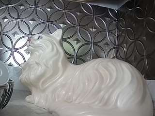 voyeurcam-bridgetleewalters-02 avatar