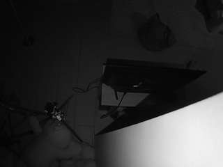 voyeurcam-casa-salsa-bathroom-3 avatar